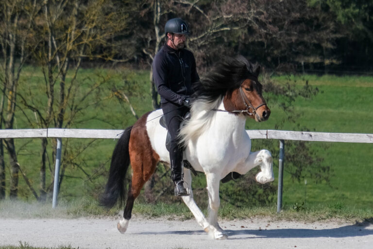 Gnyr vom Uhlenhof